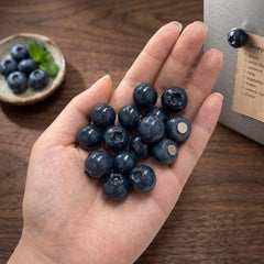 Polymer Clay Blueberry Magnets Set